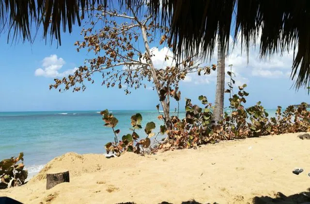 Playa Residence Las Palmas Las Terrenas Samana Republica Dominicana